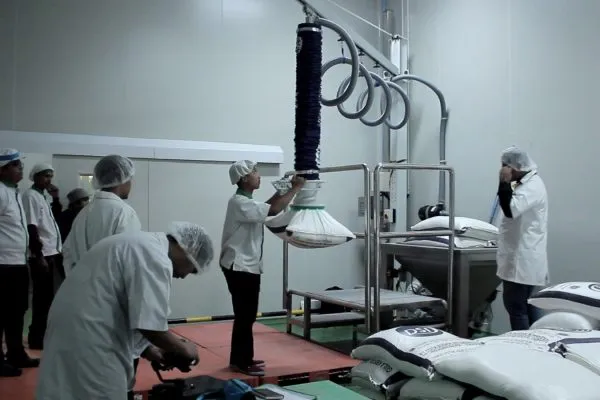 PT Nutribev Nabati Indonesia project visual