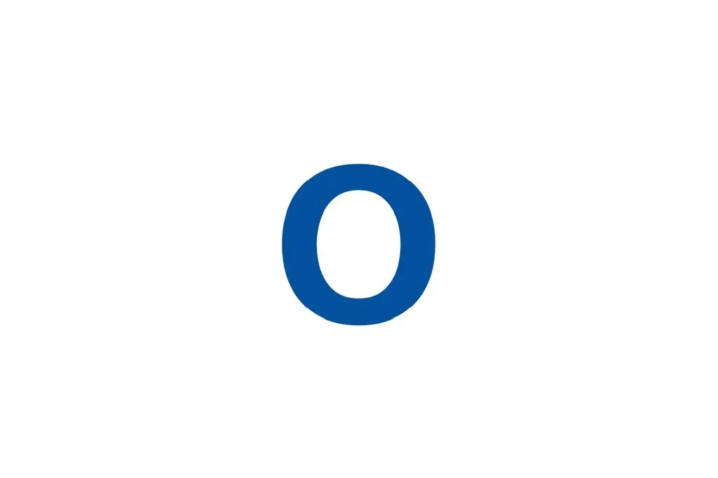 O - Organizational Controls